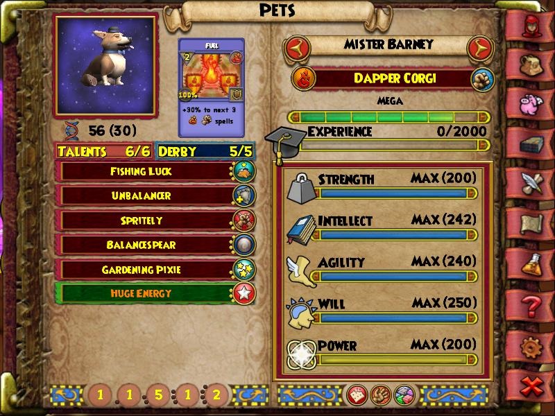 Paige S Page Wizard101 Test Realm Starting June 24 2015