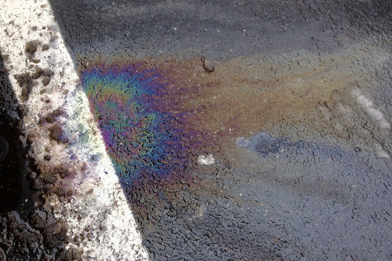 Picture of the Week Oil Slick Rainbow