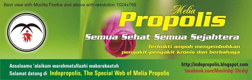 MELIA PROPOLIS