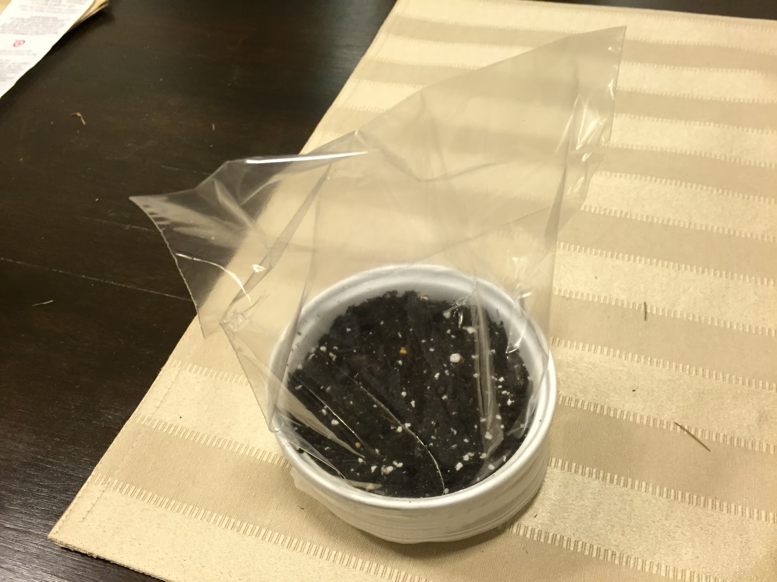 plastic bag mini greenhouse