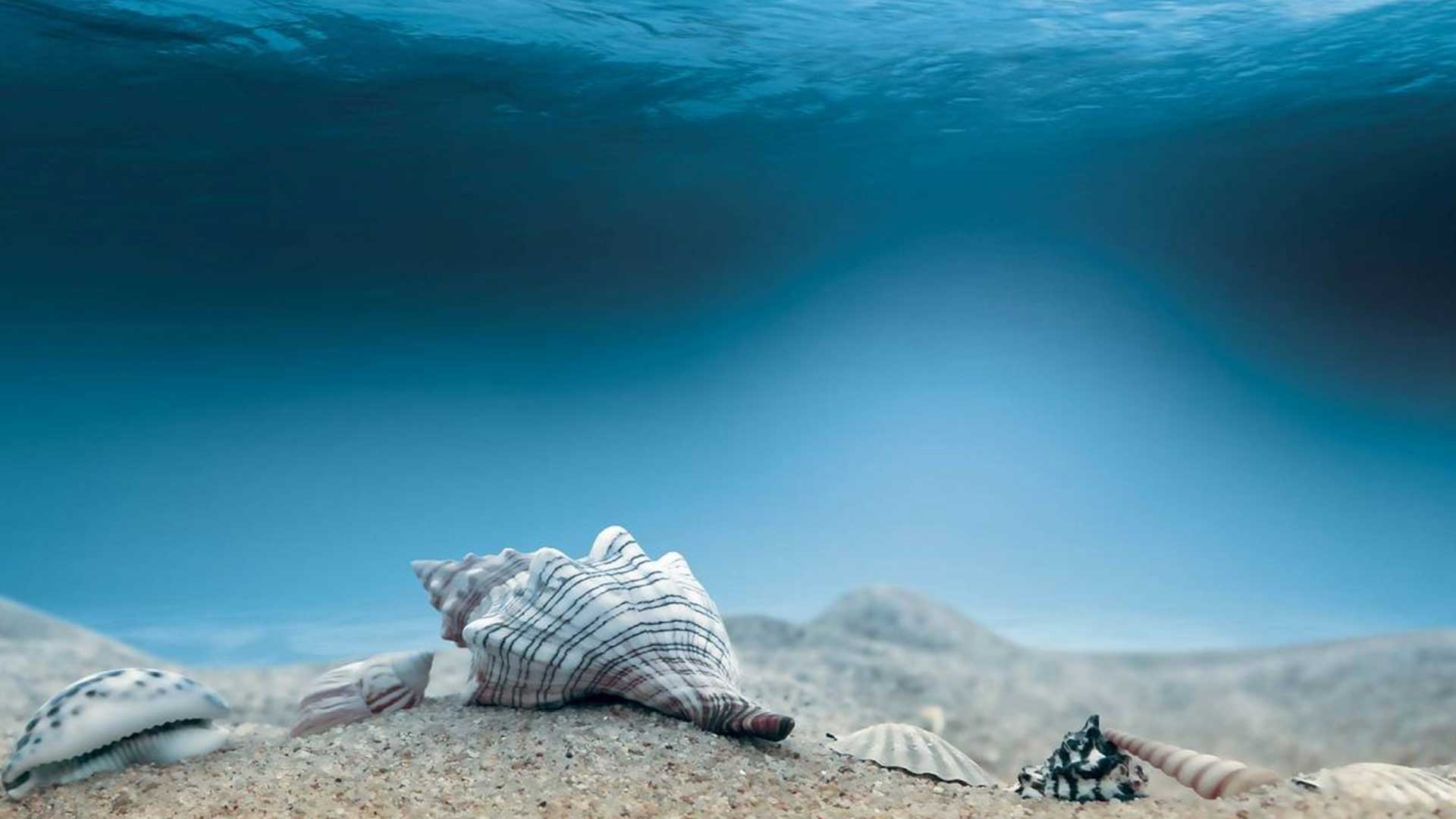 Hd Doga Okyanus Masaustu Foto Visne Co