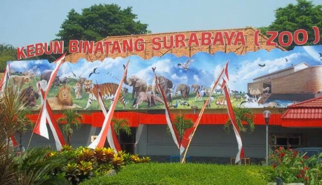 tempat wisata Kebun Binatang Surabaya 