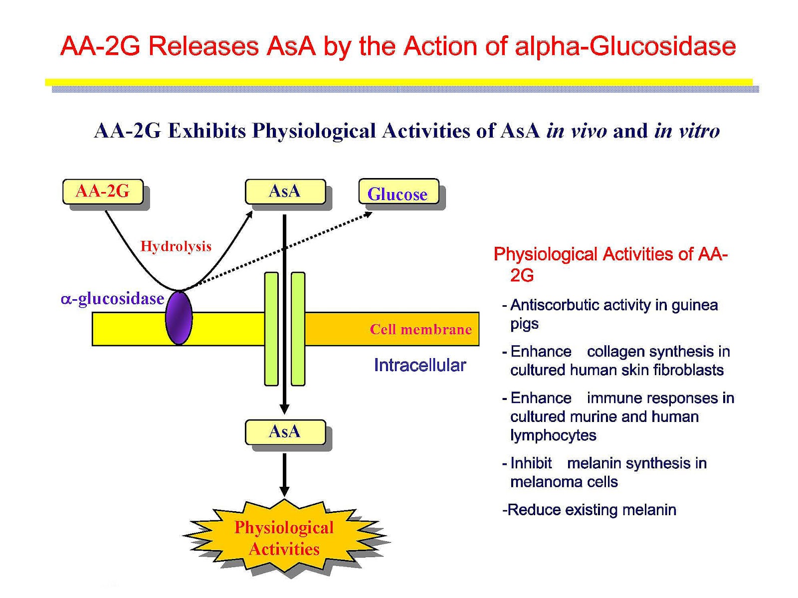 DIY Skin Care SEA Lab AA2G Ascorbyl Glucoside