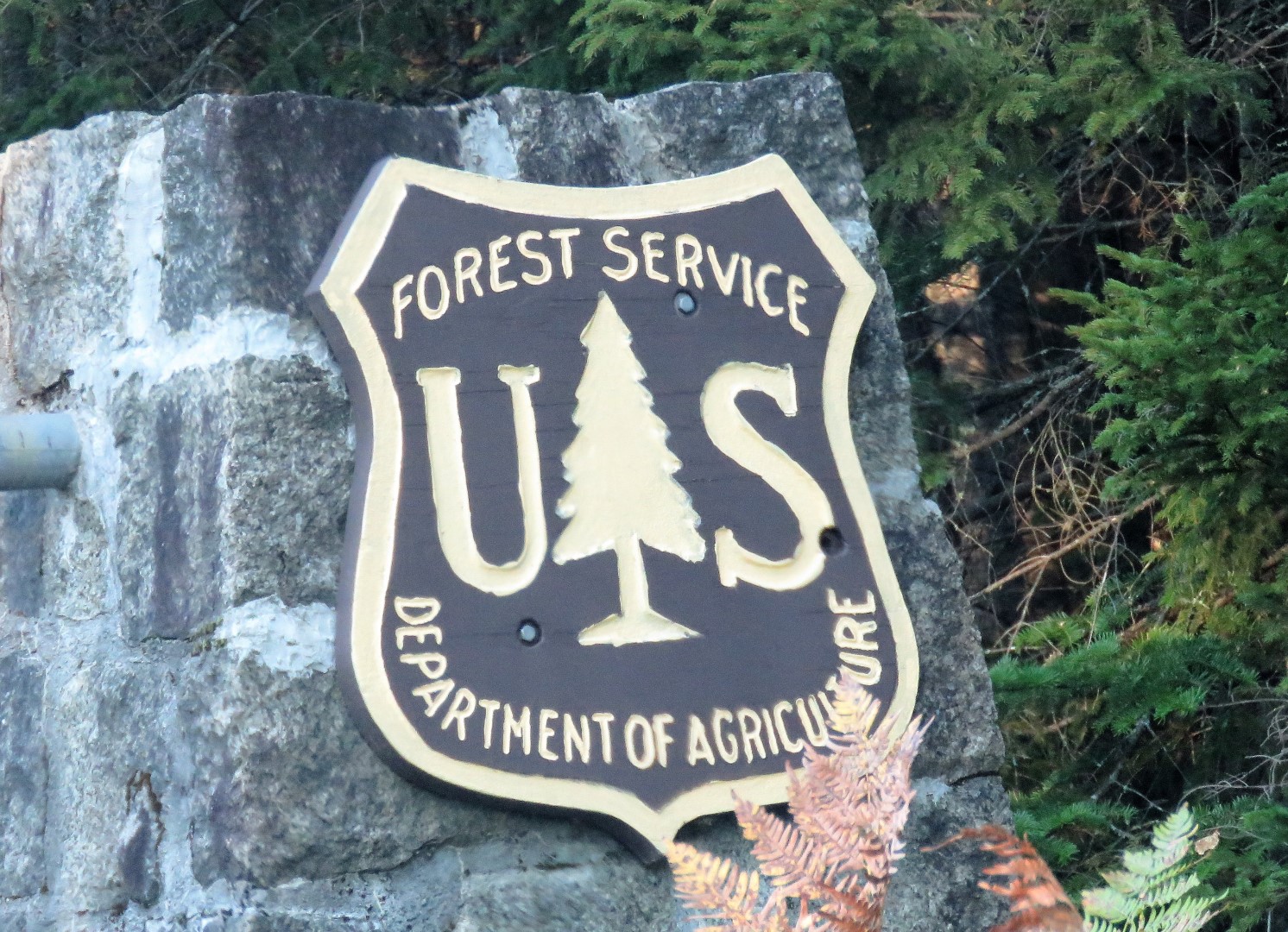 Gone Hikin White Mountain National Forest Nh Rogers Ledge And