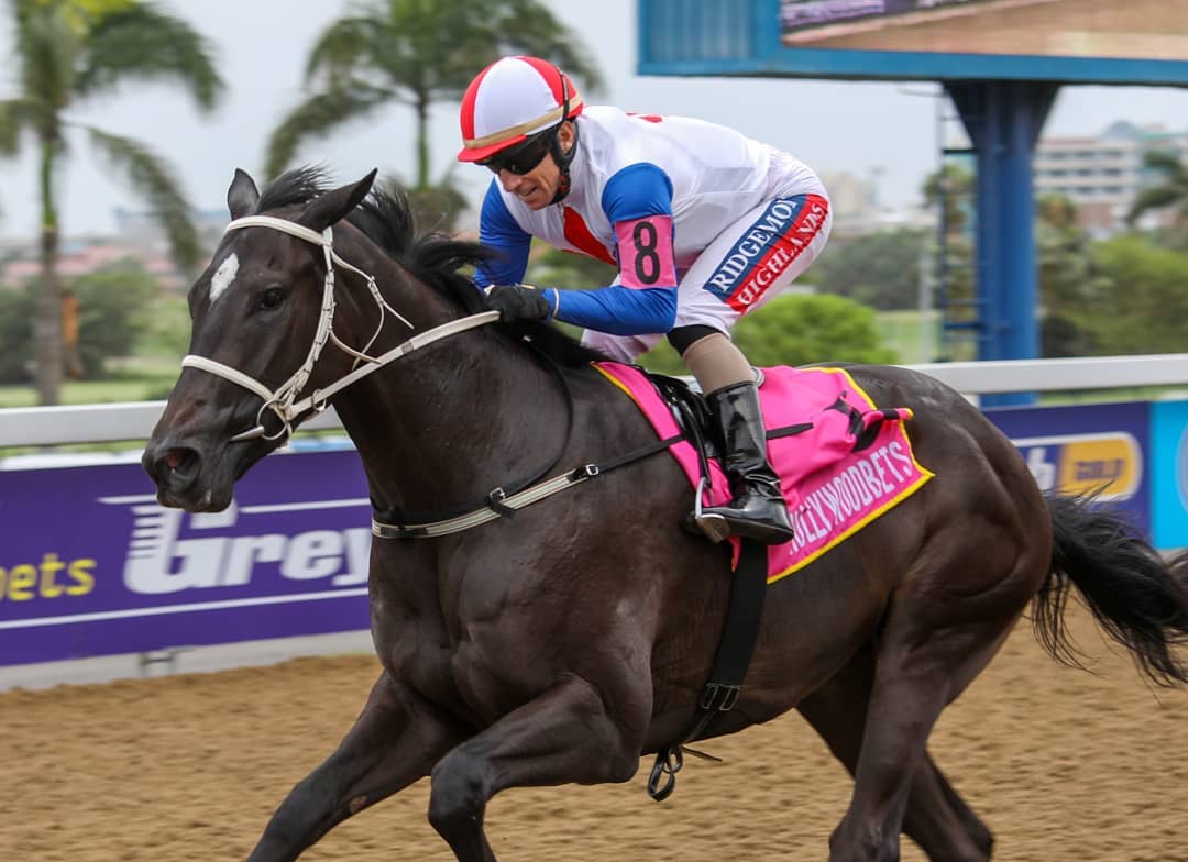 CHATTERTONS KEEPER CHATTERTONS KEEPER - horse winning at Hollywoodbets Greyville Polytrack