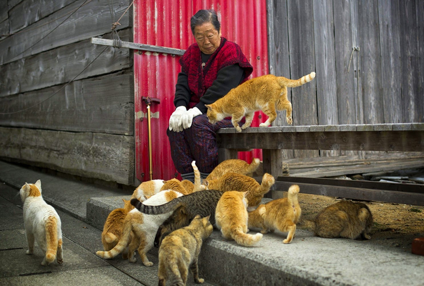People in Cat Island Tashirojima Japan