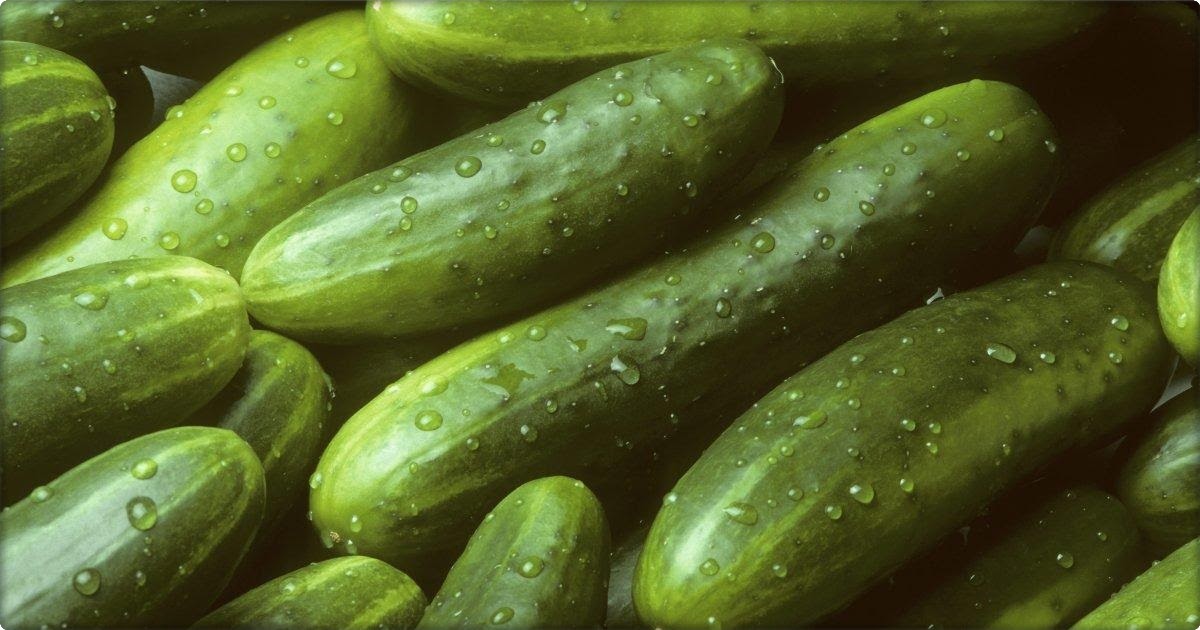 10 Reasons Why Cucumbers Are Super Healthy Tips for Healthy Life
