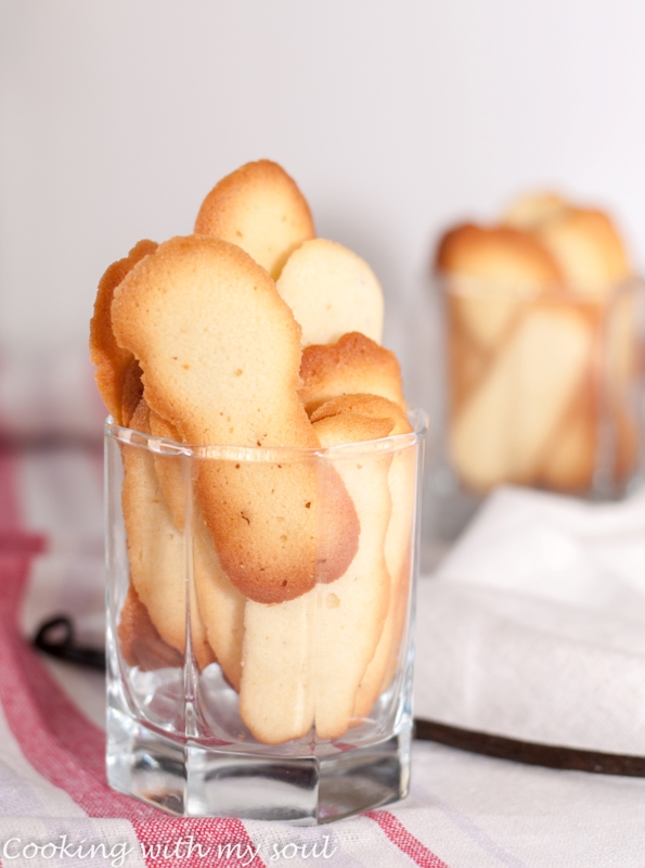 Limbi de pisica / Langues de chat