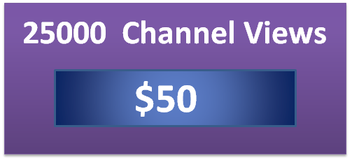25000 twitch channel views, twitch viewer bot