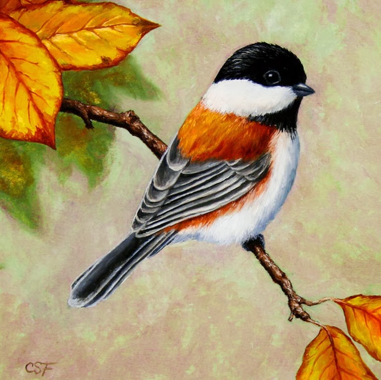 equipaje brazo vanidad EL CLUB DEL ARTE LATINO: Pinturas Decorativas de Aves, Obras del Pintor  Crista Forest