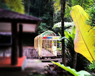 Jarak tempuhnya hanya 7 km dari pusat kota Sumedang ke arah selatan. Sebagian besar kawasannya masih alami akan Flora dan Fauna. Pilihan tempat vakansi yang sangat nyaman pun selekasnya diajukan bagi para turis lokal maupun asing untuk menghabiskan kualitas waktu mereka bersama teman, kerabat, maupun keluarga di Kampung Karuhun.