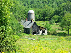 Summer Barn