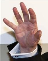 Secret Celebrity Palm Readings: Daniel Craig's palm reading