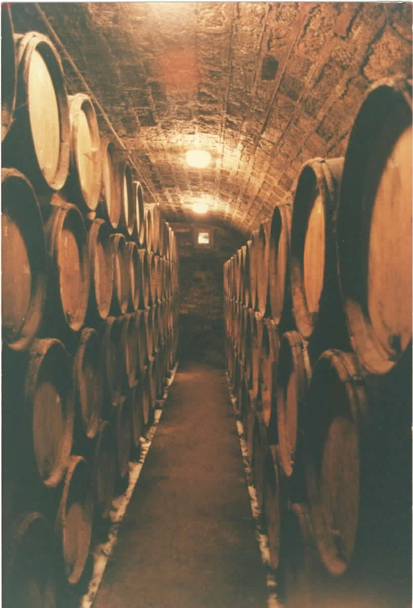 Wine Wein Vino Vin the Truth about how Wine was invented...