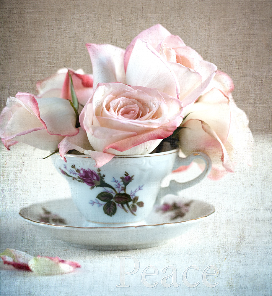 PhotoperDiemA Photography Blog Antique Tea Cup with Pink Roses