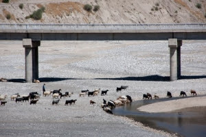 Seca do rio Eufrates confirma o Apocalipse