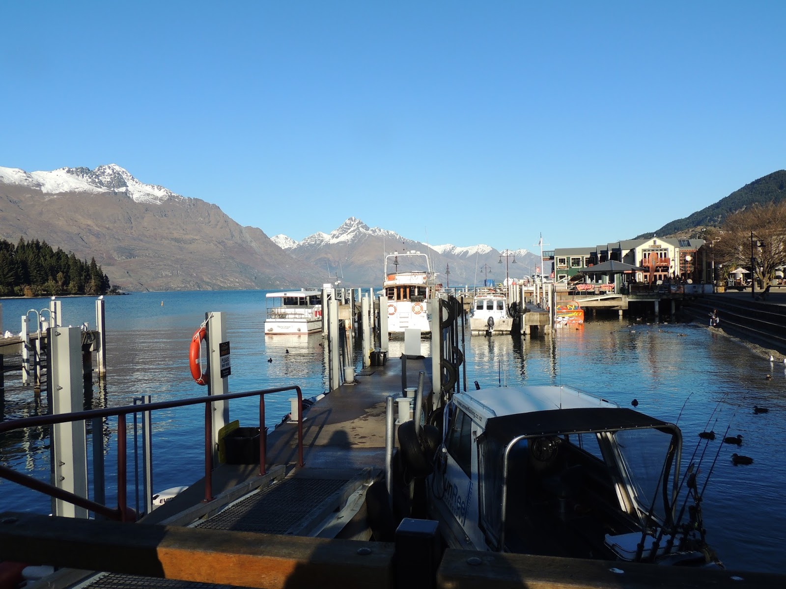 The Road Taken Queenstown Art Rides The Hydro Attack Shark