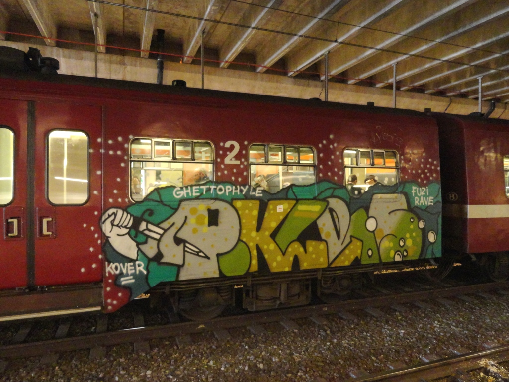 FUZI RAVE Art on Train