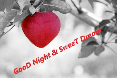 romantic-good-night,gud-night,good-night-hd, good-night-wishes,good-night-pics