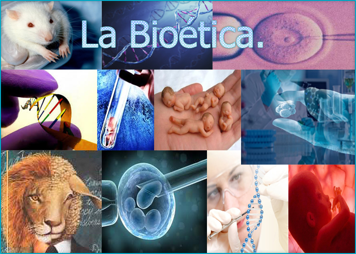 Sotelo Ramirez Melissa Michel 245 PFLC Ética y Valores II Collage