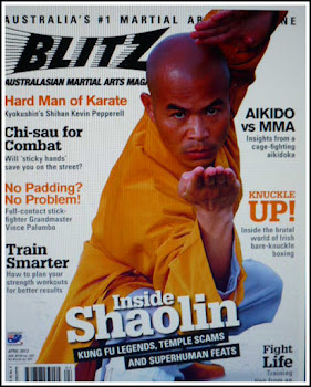 <strong><em>Blitz Martial Arts Magazine - April Issue</em></strong>