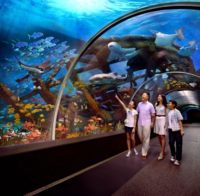 Aquarium unik di Kuala Lumpur Wisata Indah