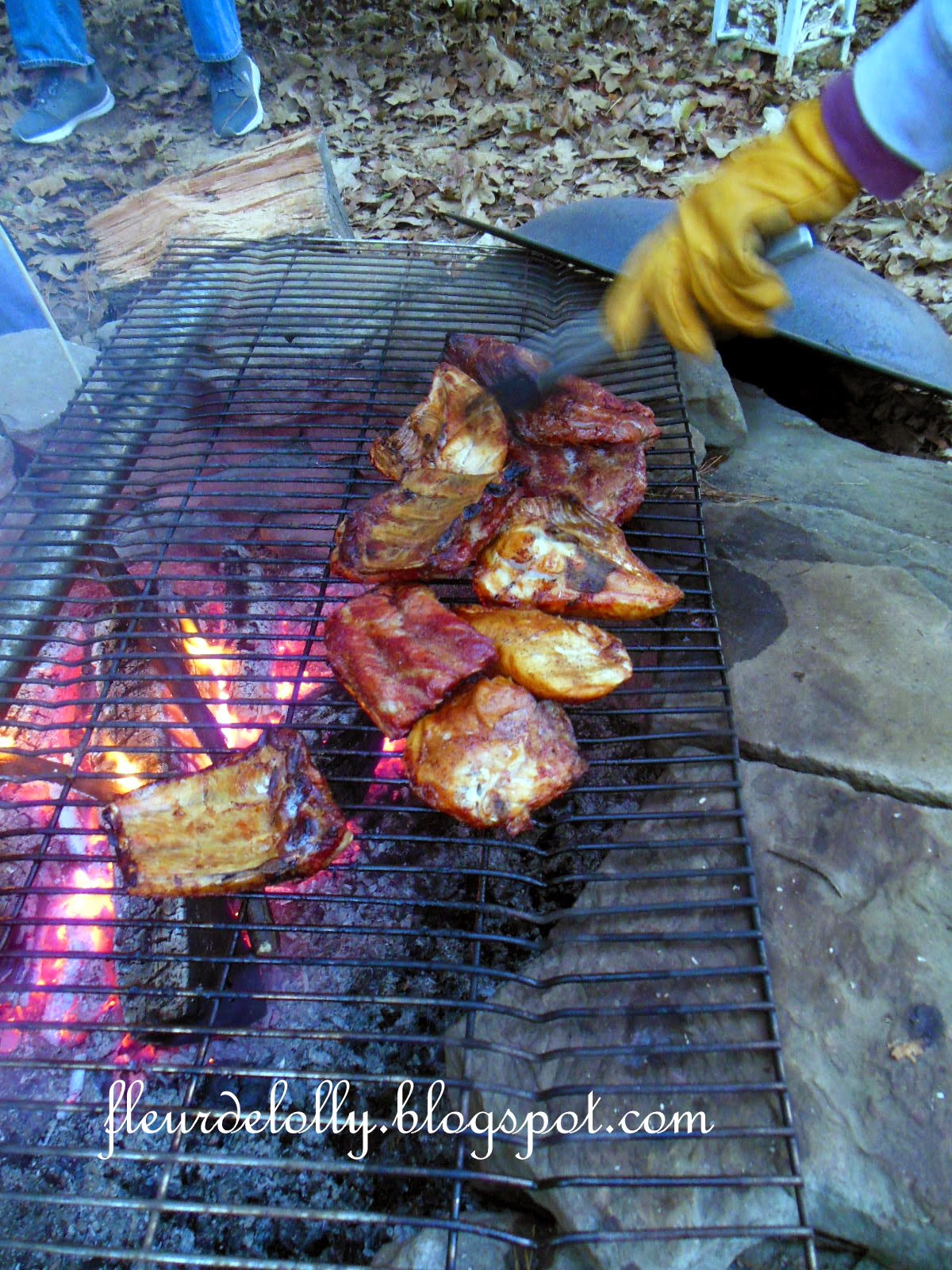 Fleur de Lolly Fire Pit Cooking