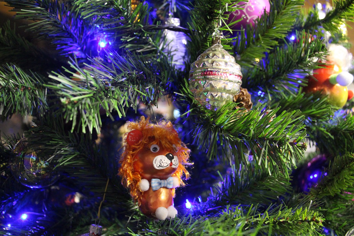 до 2022 года осталось дней. до 2022 года осталось дней. до 2022 года осталось дней. до нового года осталось 365 дне. сколько дней осталось до нового года.