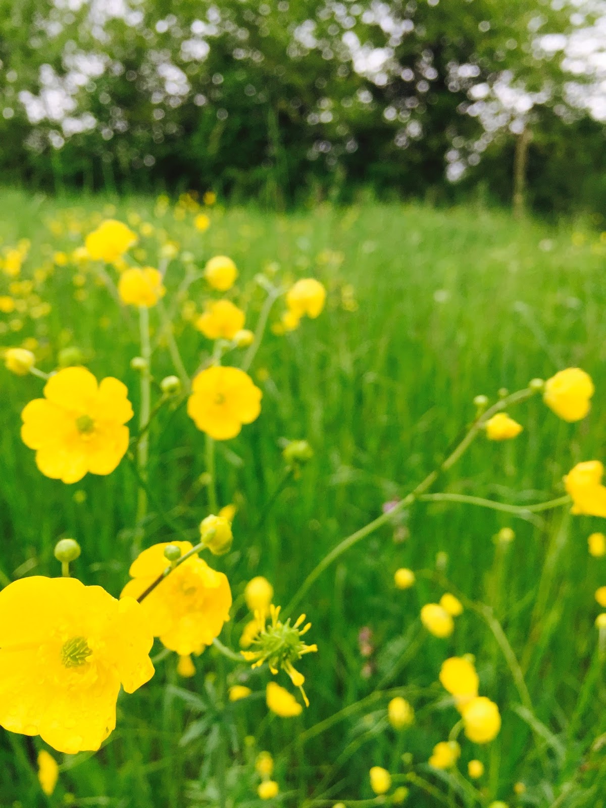 stuttgartcooking: Spargel mit Schinken, einem mediterran angehauchten ... stuttgartcooking: Spargel mit Schinken, einem mediterran angehauchten ...