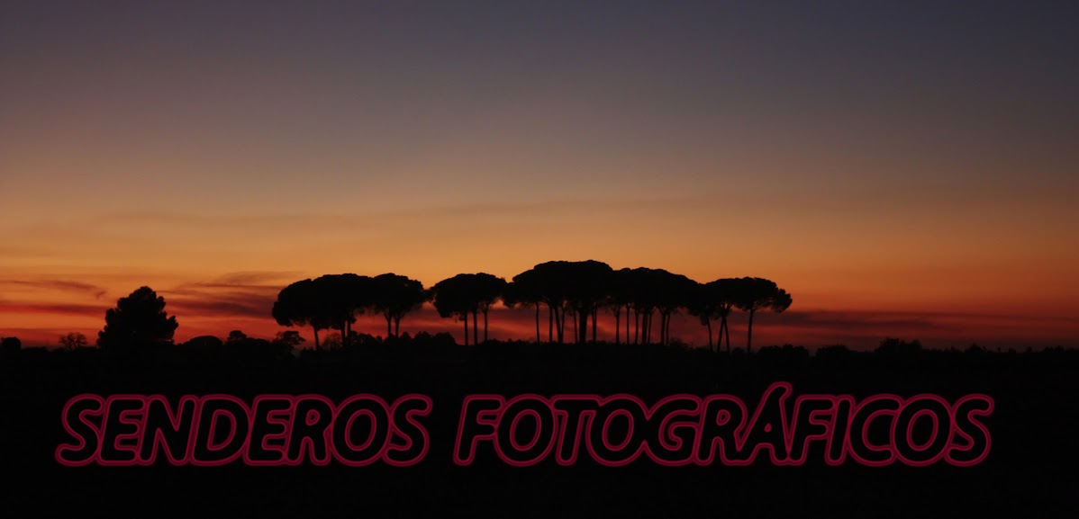 SENDEROS FOTOGRÁFICOS