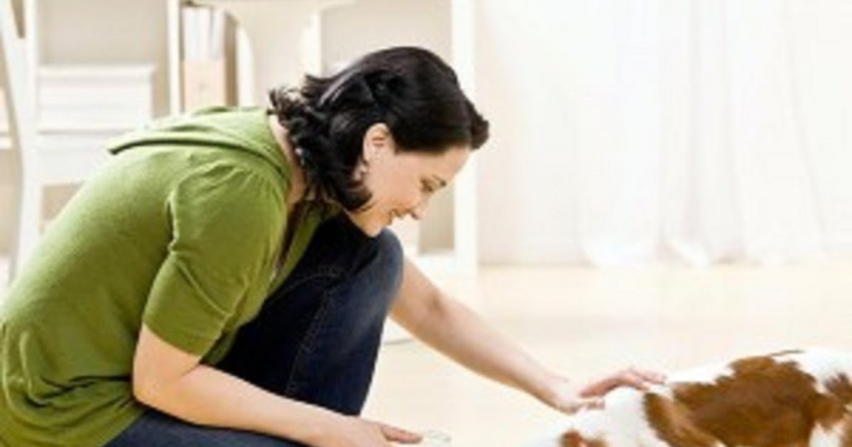 Instructions for Feeding a Puppy Doglopedix