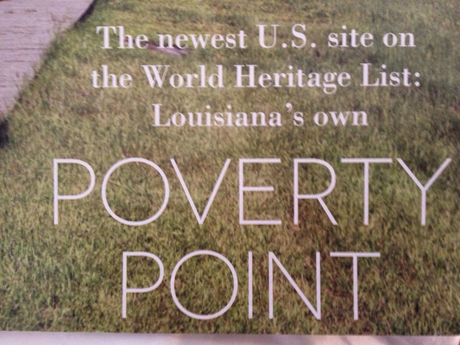 Eugene Ray Architect: JUNGLE HARVEST / artistry in the mexican gulf