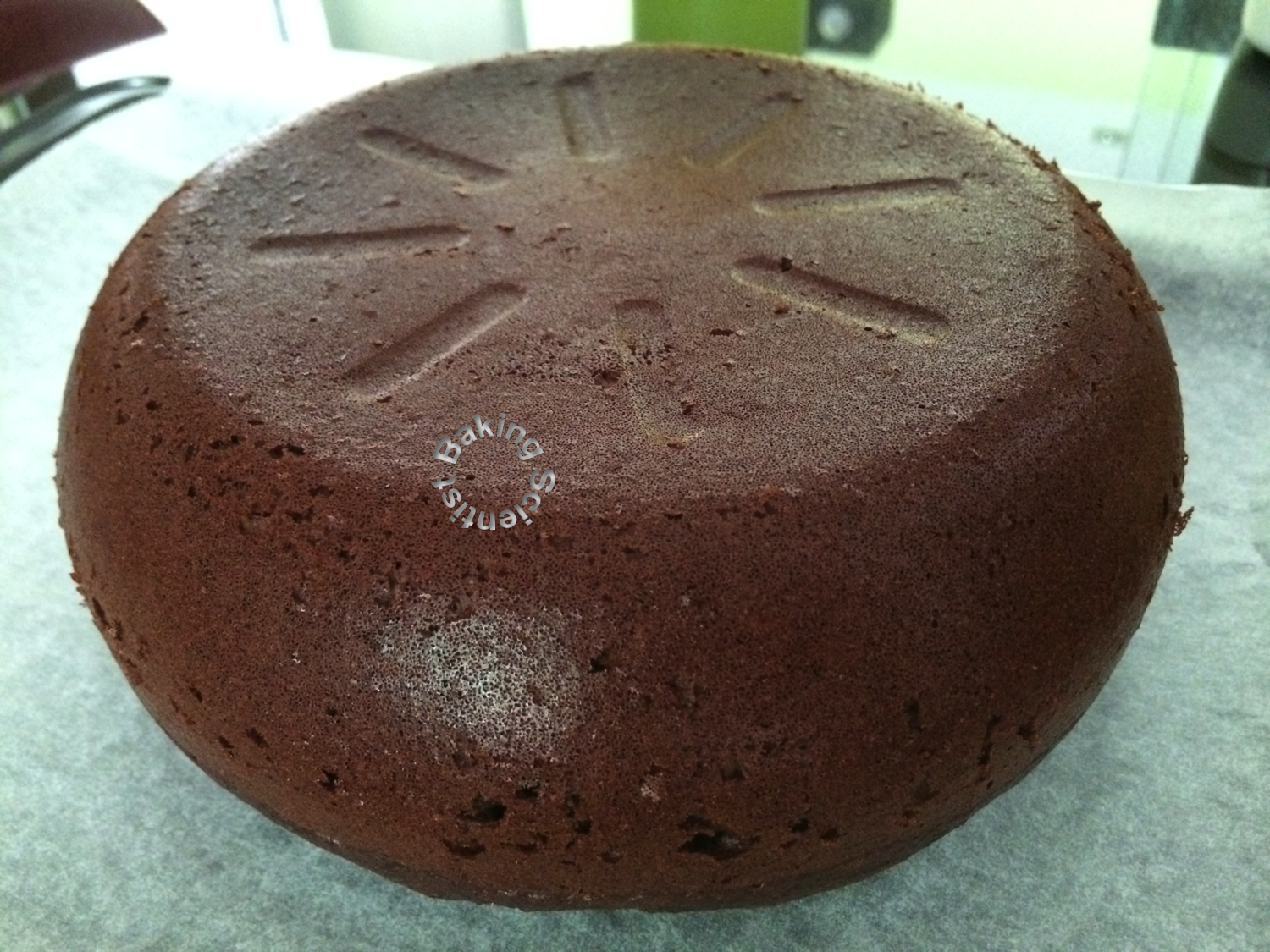 Baking Science Rice Cooker Cake Chocolate Pumpkin Cake