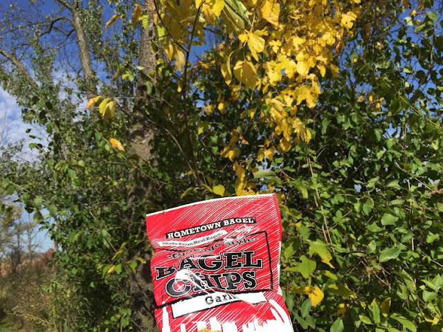 Hometown Bagel Chips from our Degustabox were the perfect snack after a hike!