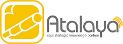 Atalaya-Your strategic knowledge partner