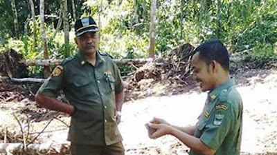 Dampak Pembangunan Tarok, Nagari Tandikek Utara Berpotensi Jadi Kawasan Wisata Terpadu 