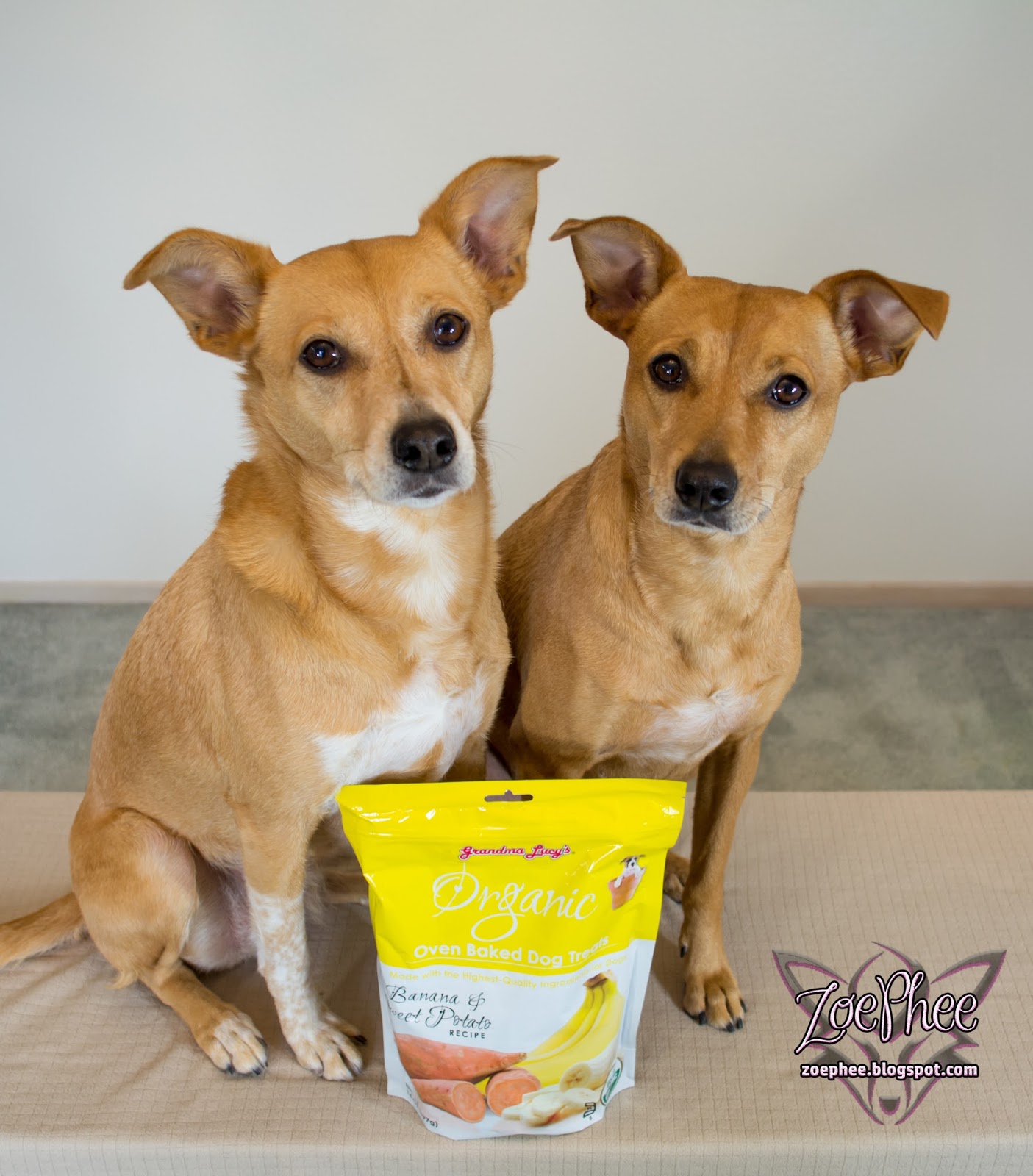 ZoePhee Grandma Lucy's Pet Food & Treats Review & Giveaway!