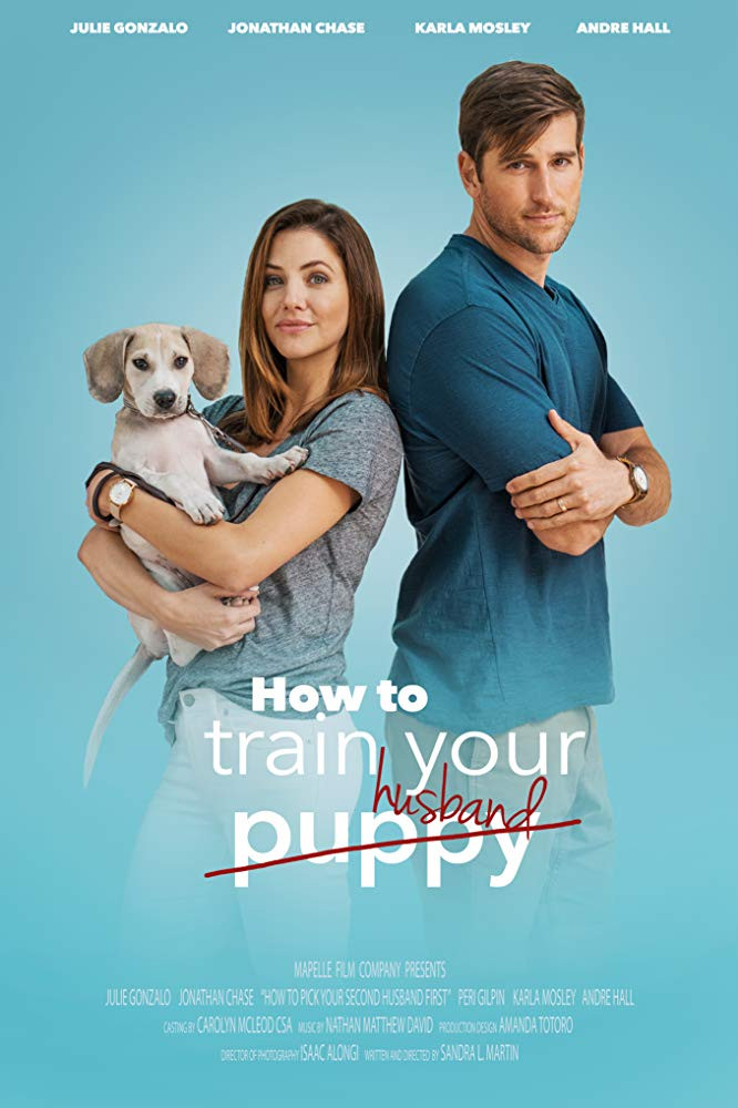 How to Train Your Husband 2018 Hindi Dual Audio 300MB HDRip Download