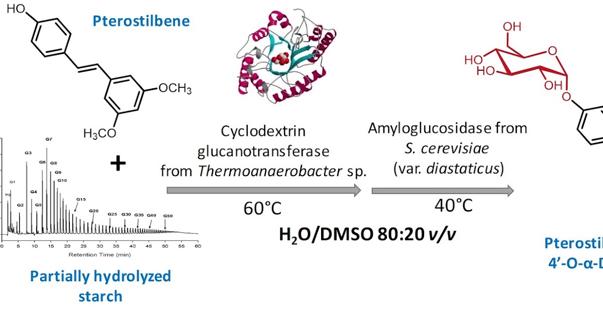 Cgtase thesis 07 image