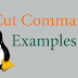 Một số ví dụ về cut command line trên Linux