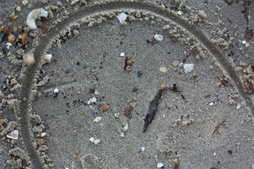 Hunting Shark S Teeth One Generation To The Next 17 Apart