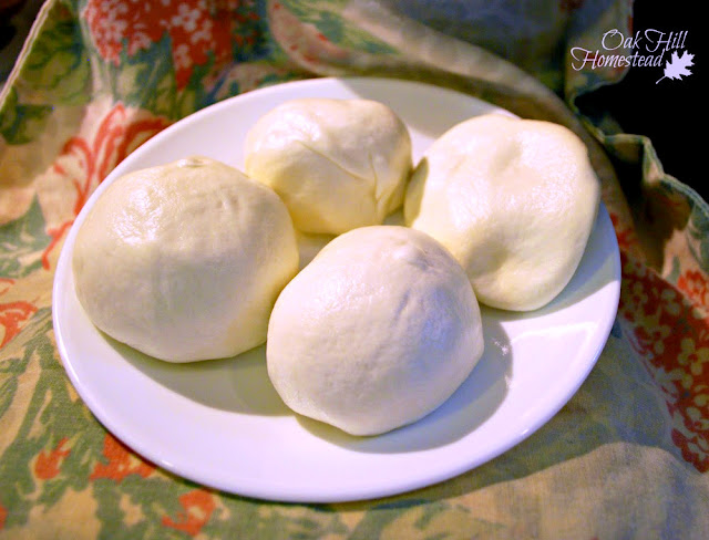 Four balls of fresh homemade Mozzarella cheese on a white plate on a floral tablecloth.