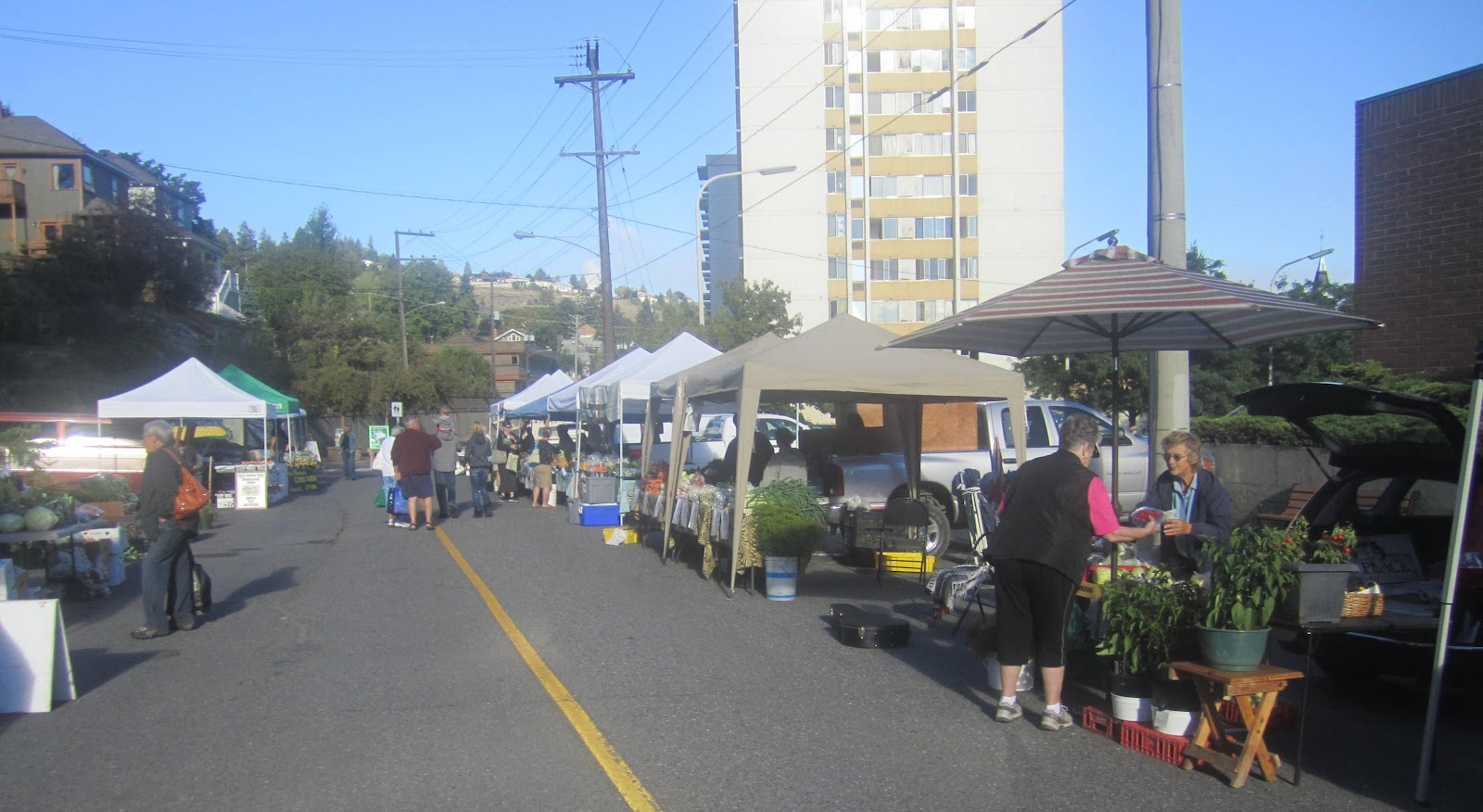 Smith and Ewe, fibre dyer and handspinner Smith and Ewe at Kamloops