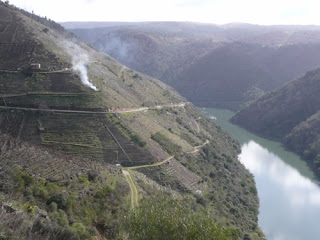 2015 Lapola, Dominio de Bibei