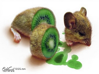 Art-Sci: Photoshop Genetic Modification: Vegetable Animals