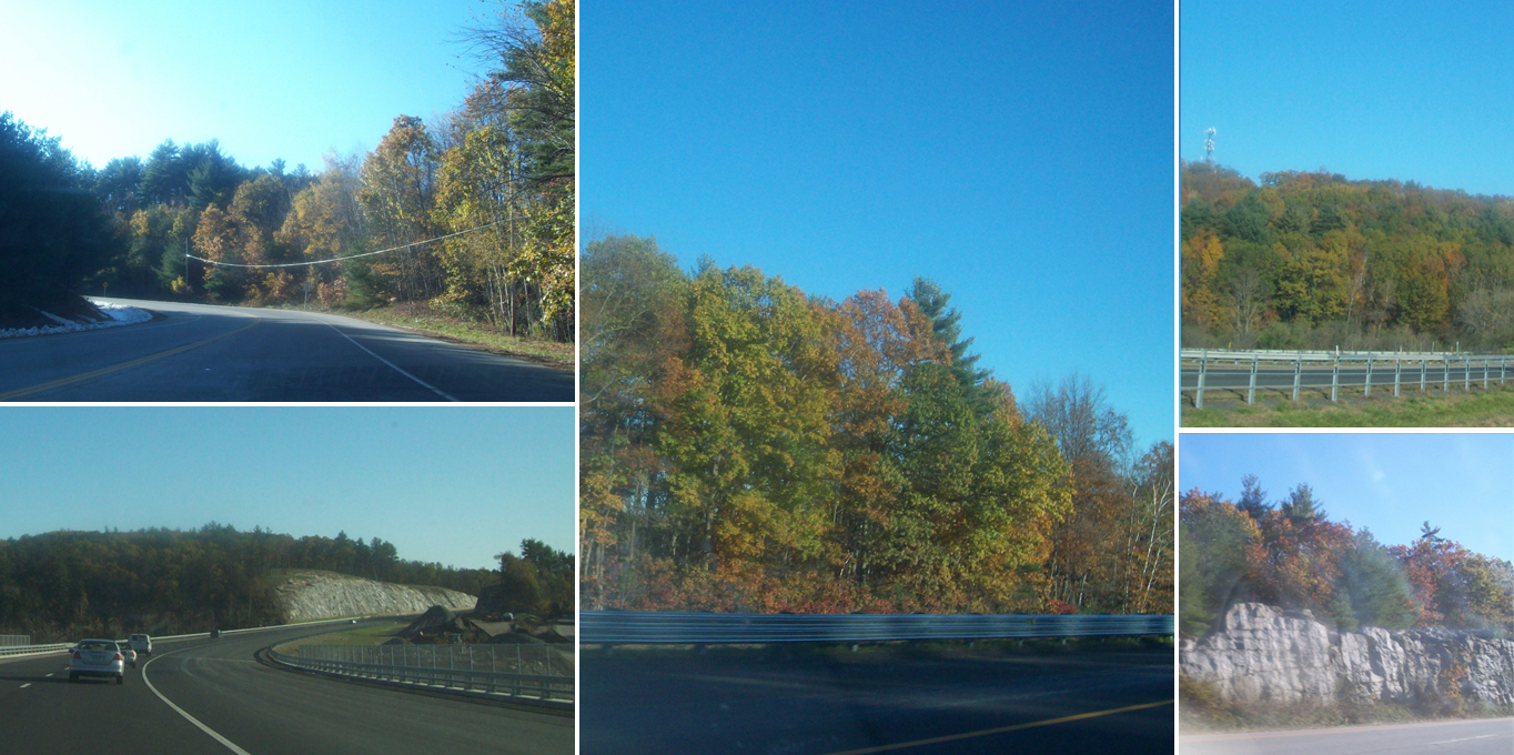 Amber's Story Planning a Wedding in Massachusetts Wedding Cake