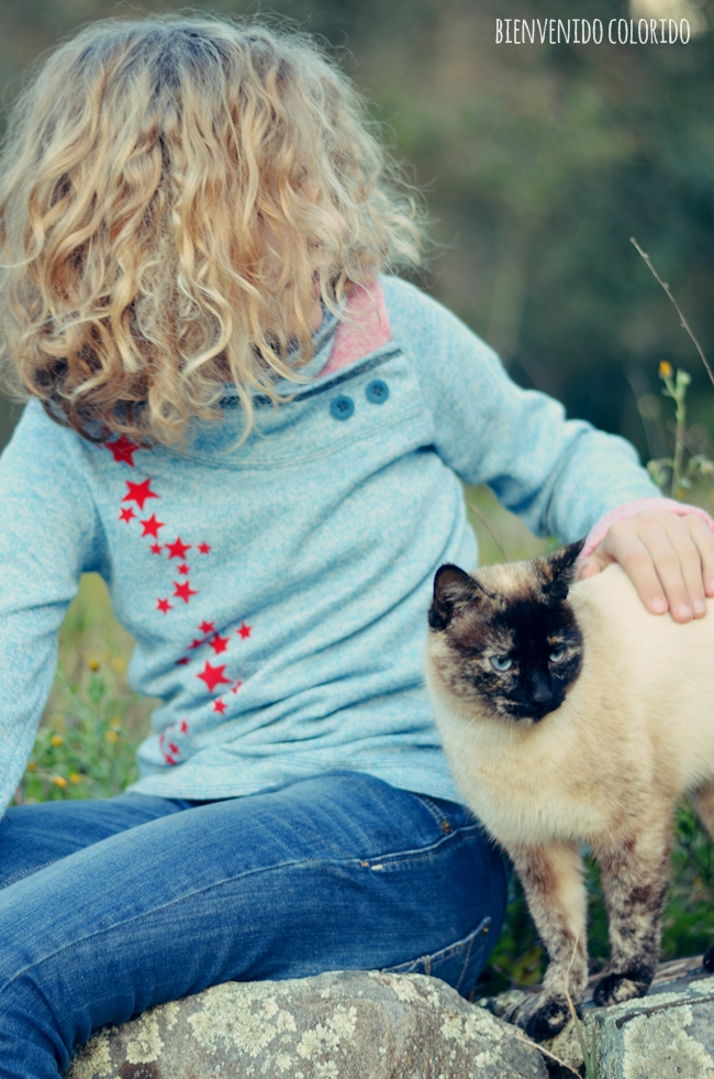 Mit Lumpi Auf Grosser Reise Nach Irland Irland News