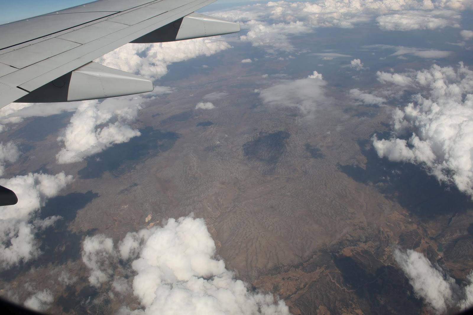 Çayırdaki Yağmur Damlası Ağustos 2012