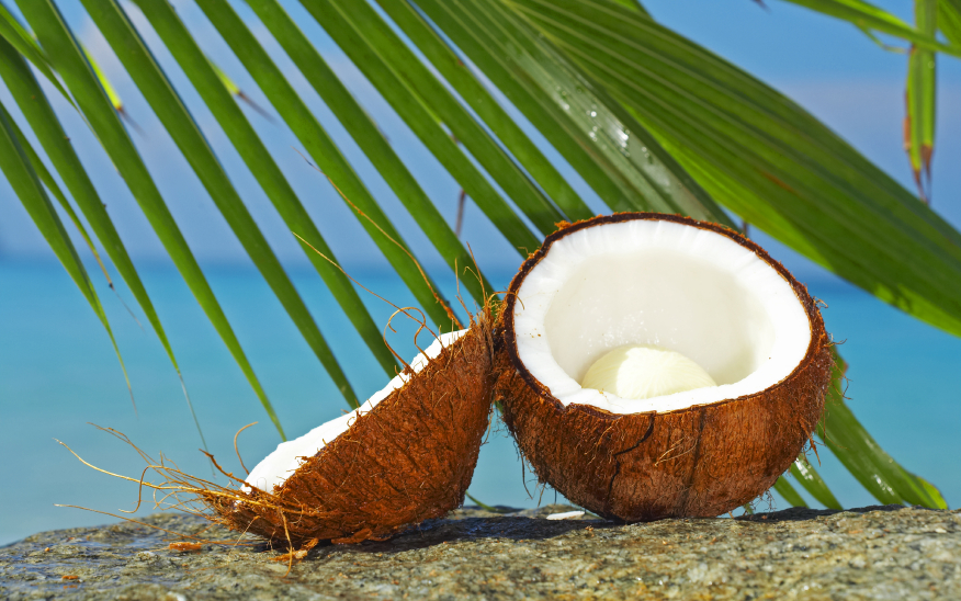 The Fertile Kitchen R: Fertility Diet and Coconut Products