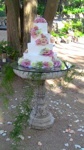 Bird bath with glass top